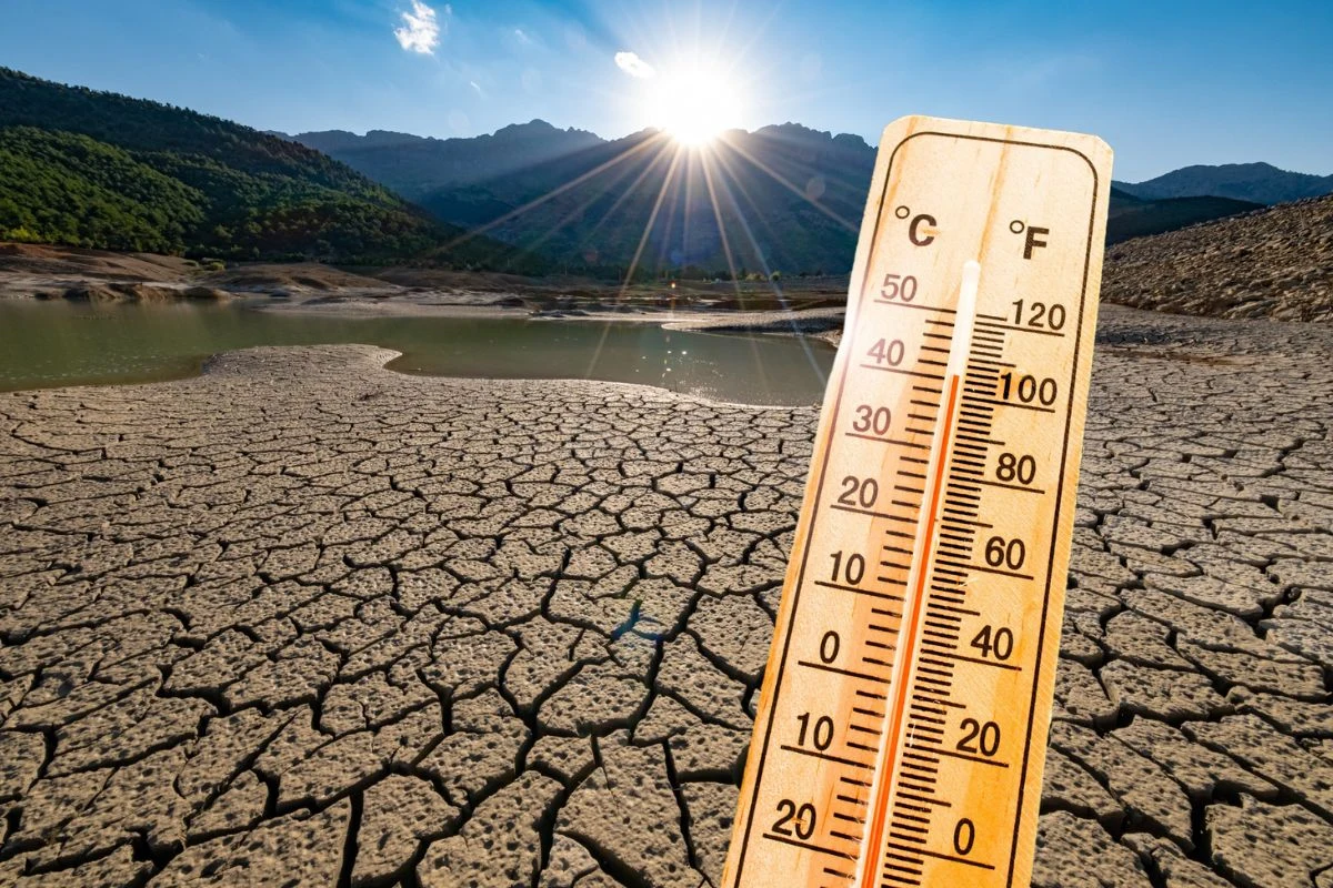 Światowa gospodarka przeżywa kryzys klimatyczny? Naukowcy ostrzegają przed nadchodzącą falą wstrząsów